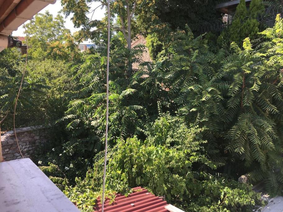 Amida House Provincia di Istanbul